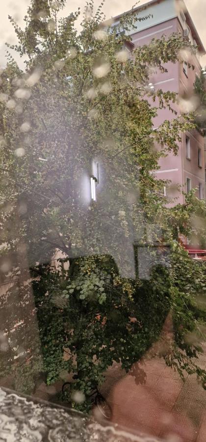 Heart Of Tirana Apartment Exterior photo